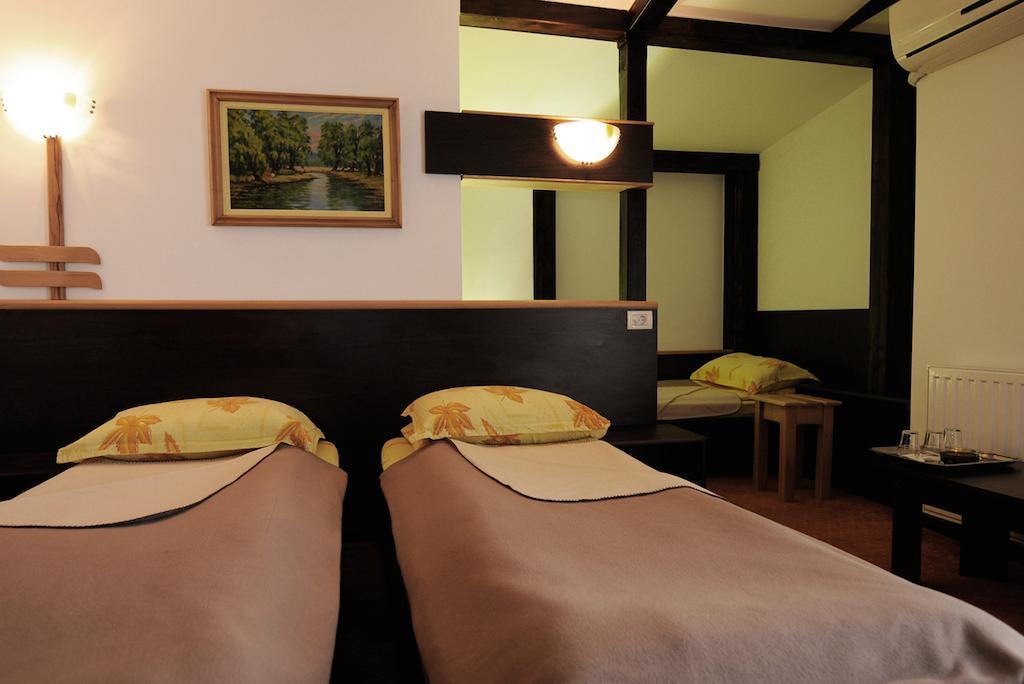 Pensiunea Delta Dunarii Tulcea Room photo